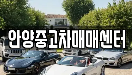 경기도 안양시 동안구 관양동 중고차 전문 안양중고차매매센터