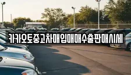 경기도 안양시 동안구 관양동 중고차매입 전문 카카오토중고차매입매매수출판매시세