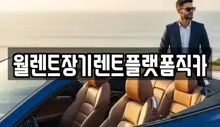 경기도 오산시 양산동 장기렌트카 전문 월렌트장기렌트플랫폼직카