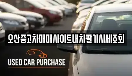 경기도 오산시 양산동 중고차매매 전문 오산중고차매매사이트내차팔기시세조회
