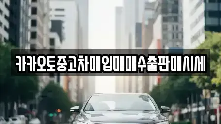 경기도 오산시 양산동 중고차매입 전문 카카오토중고차매입매매수출판매시세