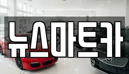 경기도 용인시 처인구 남동 중고차매매 전문 뉴스마트카