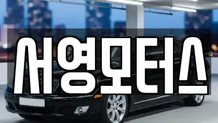 경기도 용인시 처인구 남동 중고차매매 전문 서영모터스