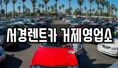 경남 거제시 문동동 렌트카 전문 서경렌트카 거제영업소