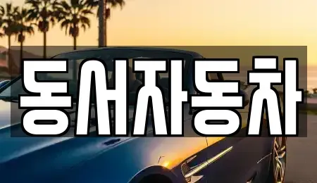 경남 거제시 문동동 중고차 전문 동서자동차
