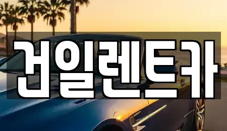 경남 김해시 삼방동 장기렌트카 전문 건일렌트카