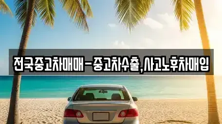 경남 김해시 삼방동 중고차매매 전문 전국중고차매매-중고차수출,사고노후차매입