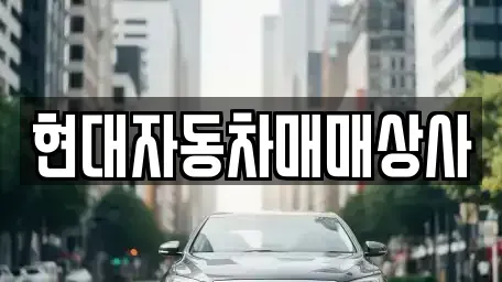경남 밀양시 상동면 중고차매매 전문 현대자동차매매상사