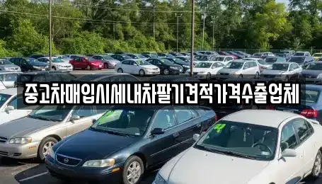 경남 창원시 마산합포구 교방동 중고차매입 전문 중고차매입시세내차팔기견적가격수출업체