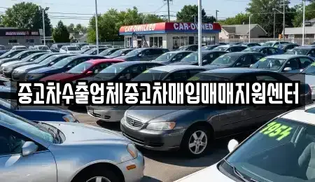 경남 창원시 마산합포구 교방동 중고차매입 전문 중고차수출업체중고차매입매매지원센터