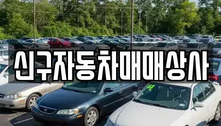경남 창원시 성산구 불모산동 중고차 전문 신구자동차매매상사
