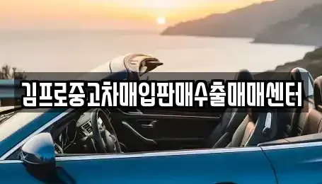 경남 창원시 진해구 도천동 중고차매매 전문 김프로중고차매입판매수출매매센터