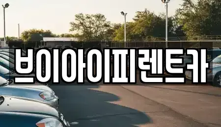 경북 구미시 장기렌트카 전문 브이아이피렌트카