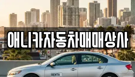 경북 구미시 중고차 전문 애니카자동차매매상사