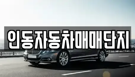 경북 구미시 중고차 전문 인동자동차매매단지