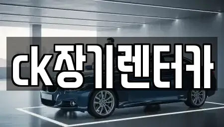경북 김천시 신음동 렌트카 전문 ck장기렌터카