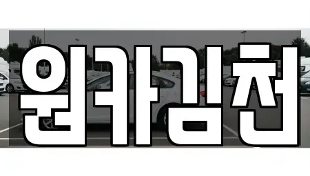 경북 김천시 신음동 렌트카 전문 원카김천