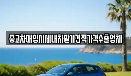 경북 김천시 신음동 중고차매입 전문 중고차매입시세내차팔기견적가격수출업체