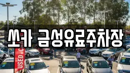 경북 안동시 동부동 렌트카 전문 쏘카 금성유료주차장