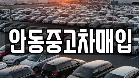 경북 안동시 동부동 중고차 전문 안동중고차매입