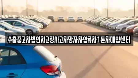 경북 칠곡군 석적읍 중고차 전문 수출중고차법인차고장사고차망자차압류차1톤차매입센터