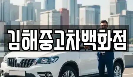 경상남도 김해시 풍유동 중고차 전문 김해중고차백화점