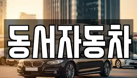 경상남도 김해시 풍유동 중고차 전문 동서자동차