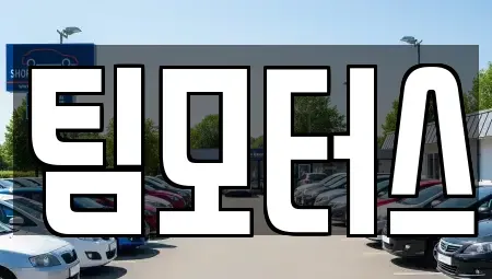 경상남도 김해시 풍유동 중고차매매 전문 팀모터스