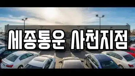 경상남도 사천시 사천읍 렌트카 전문 세종통운 사천지점