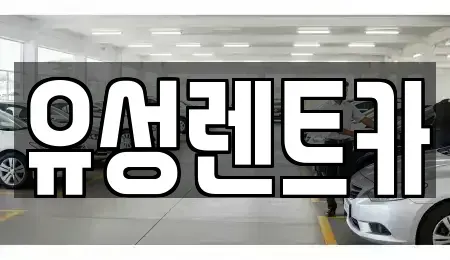 경상남도 사천시 사천읍 렌트카 전문 유성렌트카