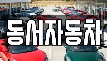 경상남도 양산시 하북면 중고차 전문 동서자동차