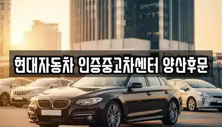 경상남도 양산시 하북면 중고차 전문 현대자동차 인증중고차센터 양산후문