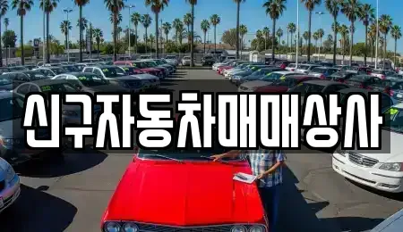 경상남도 창원시 마산합포구 가포동 중고차 전문 신구자동차매매상사