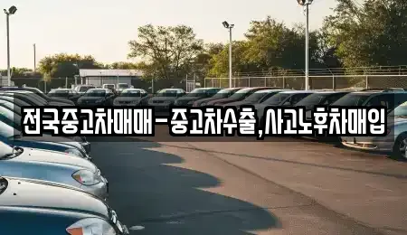 경상남도 창원시 마산합포구 가포동 중고차매입 전문 전국중고차매매-중고차수출,사고노후차매입