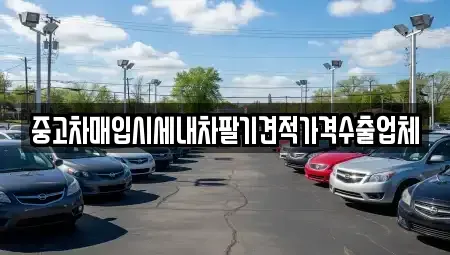 경상남도 하동군 하동읍 중고차 전문 중고차매입시세내차팔기견적가격수출업체