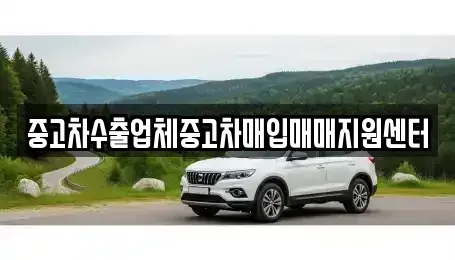 경상남도 하동군 하동읍 중고차 전문 중고차수출업체중고차매입매매지원센터