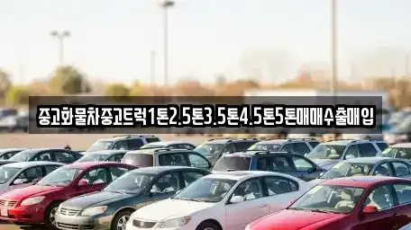 경상북도 경산시 삼남동 중고차매매 전문 중고화물차중고트럭1톤2.5톤3.5톤4.5톤5톤매매수출매입