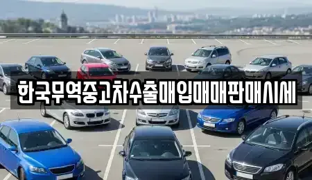 경상북도 경주시 석장동 중고차 전문 한국무역중고차수출매입매매판매시세