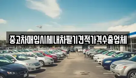 경상북도 김천시 중고차매입 전문 중고차매입시세내차팔기견적가격수출업체