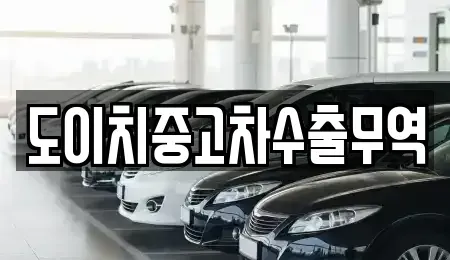 경상북도 영양군 입암면 중고차 전문 도이치중고차수출무역