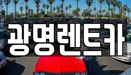 경상북도 포항시 북구 대흥동 렌트카 전문 광명렌트카