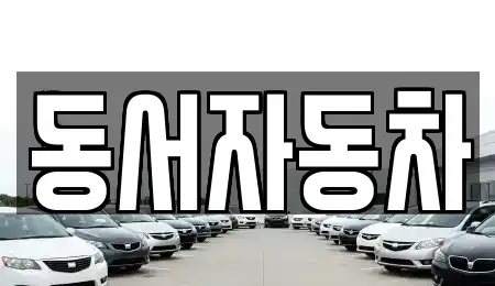 경상북도 포항시 북구 대흥동 중고차 전문 동서자동차