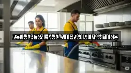 고독사청소유품정리특수청소쓰레기집고양이강아지악취제거전문