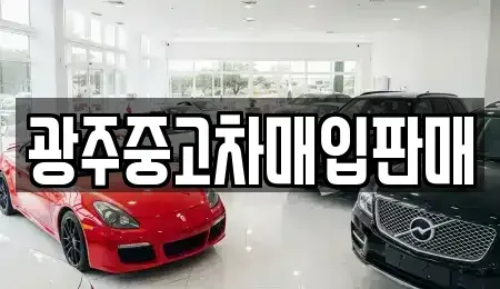 광주 동구 중고차매입 전문 광주중고차매입판매