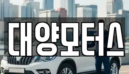 광주광역시 동구 동명동 중고차 전문 대양모터스