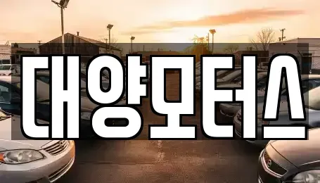 광주광역시 동구 충장로1가 중고차 전문 대양모터스