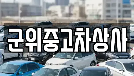 대구 군위군 중고차매매 전문 군위중고차상사