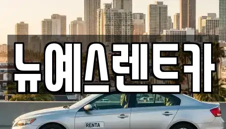대구 달성군 유가읍 렌트카 전문 뉴예스렌트카