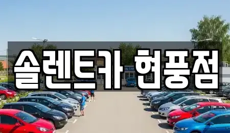 대구 달성군 유가읍 렌트카 전문 솔렌트카 현풍점