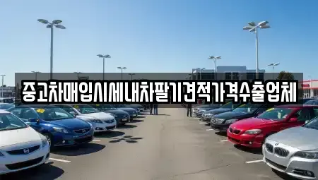 대구 서구 이현동 중고차매입 전문 중고차매입시세내차팔기견적가격수출업체